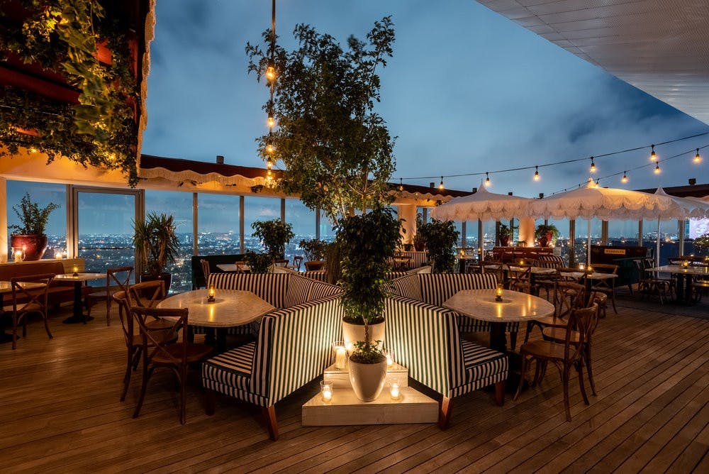 Live plants and string lights at Harriet's Rooftop, West Hollywood, CA