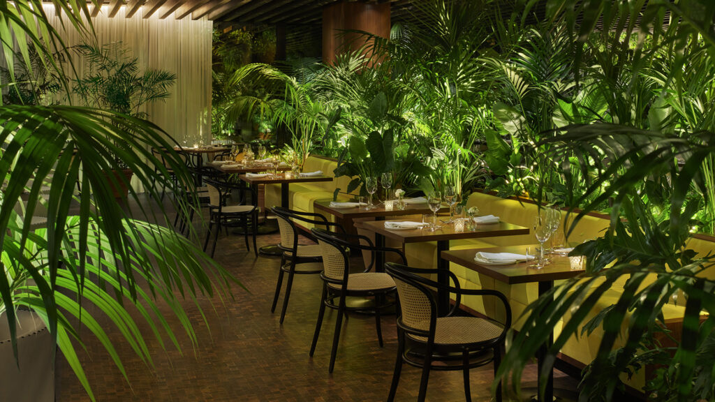 The dining room at Ardor West Hollywood is flanked with deep green foliage