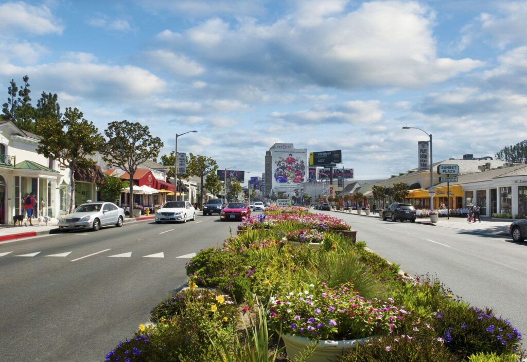 A wide street with cars parked alongside, shops and restaurants on both sides, and a median filled with colorful flowers under a partly cloudy sky.