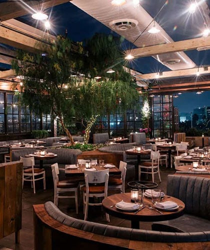 A modern restaurant with wooden tables, curved booths, string lights, and a tree centerpiece under a partially open roof at night.