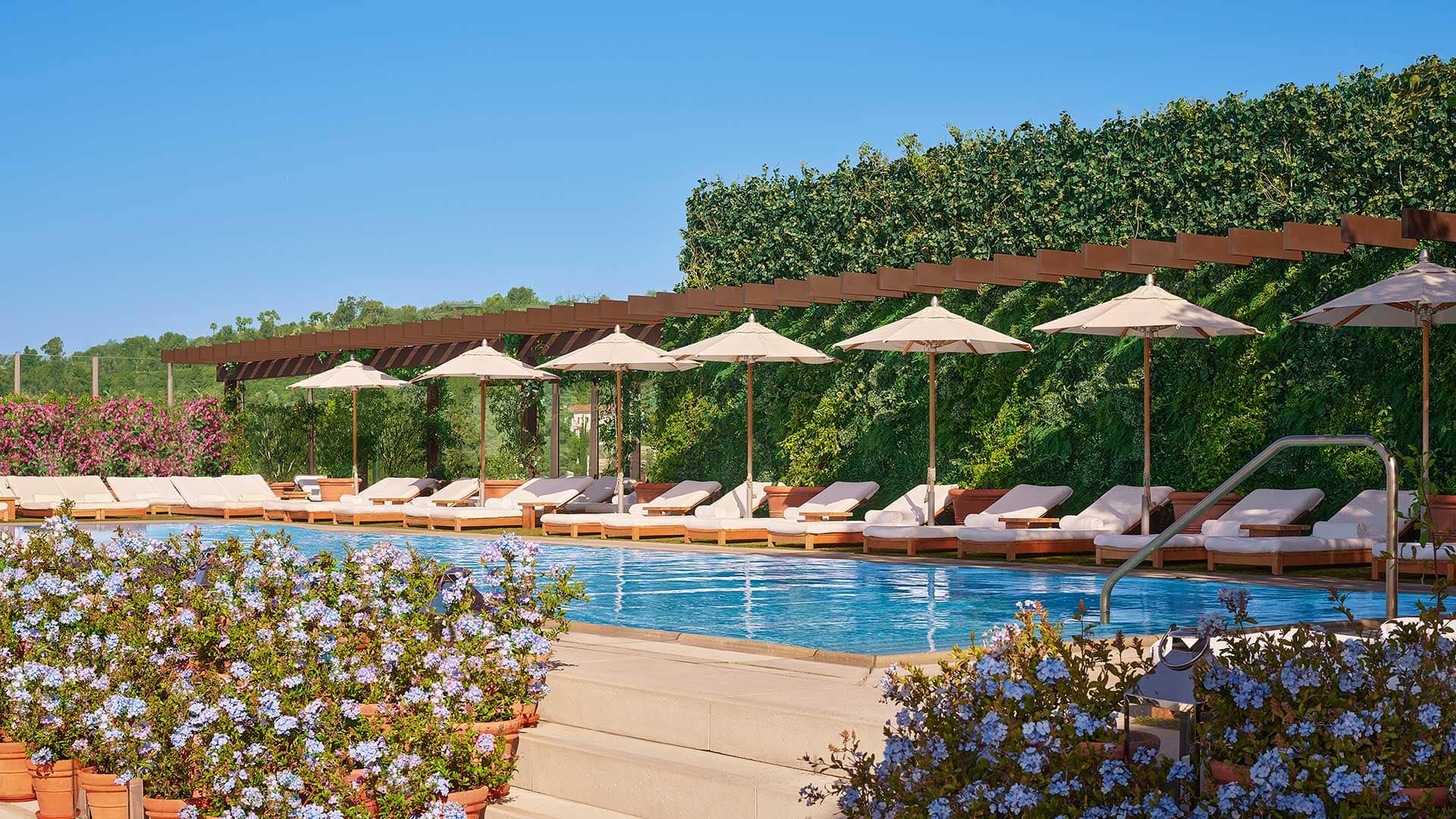 A row of reclining chairs with umbrellas line the rooftop pool of The West Hollywood EDITION, with purple flowers in the foreground.