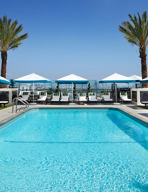 Pool deck at The London West Hollywood at Beverly Hills, flanked by two palm trees.